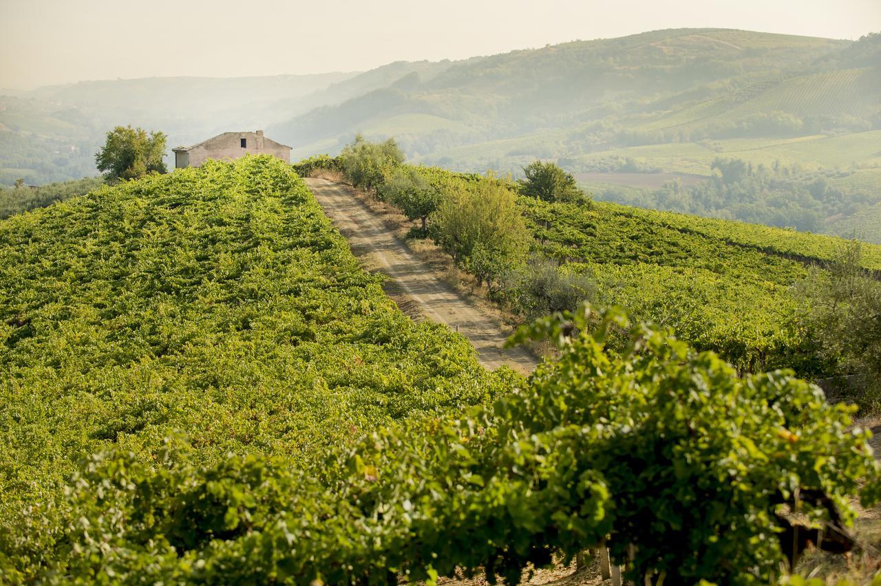 Baldovino B&B Villamagna  Kültér fotó